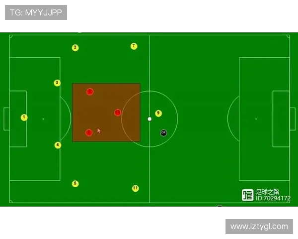V5在精英赛中的意识表现分析与战术解读