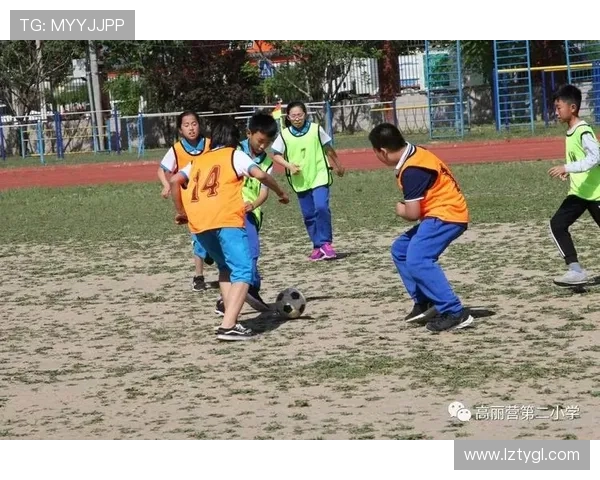 杨娜独家分享网球心得与技巧助你提升球技的完美指南