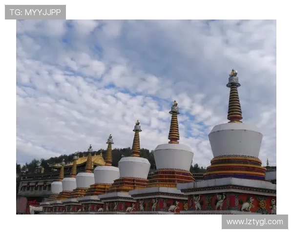 重庆街舞队的奋斗之路：一段热血青春的真实记录与心灵碰撞